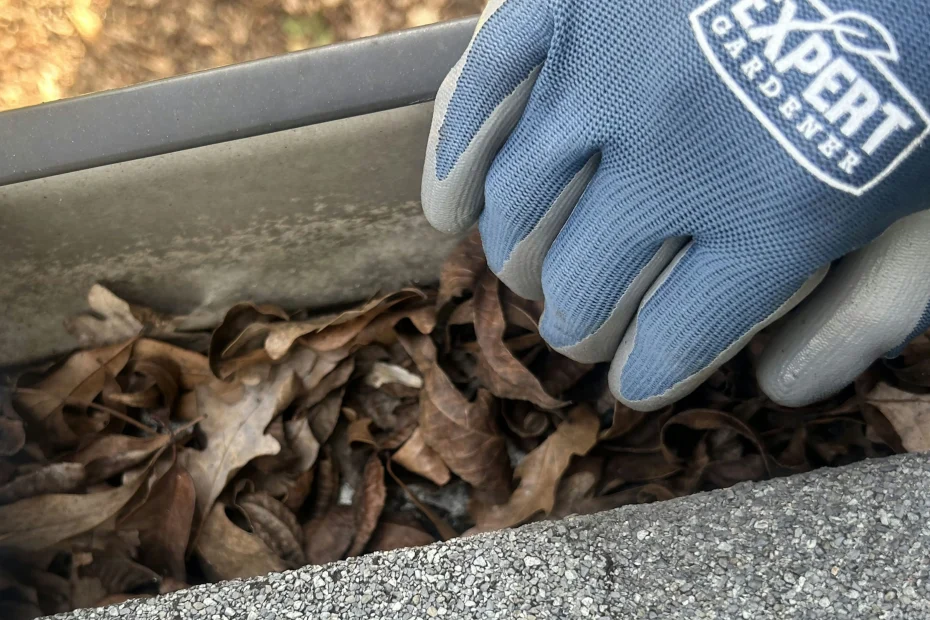 Gutter Cleaning Richmond VA