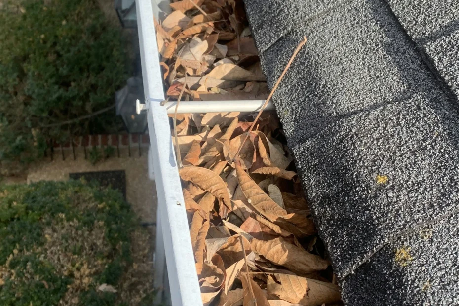 Gutter Cleaning Richmond VA