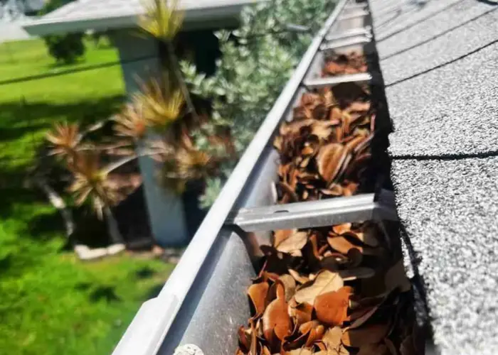 Gutter Cleaning Richmond VA home page